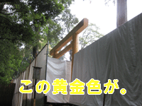 黄金