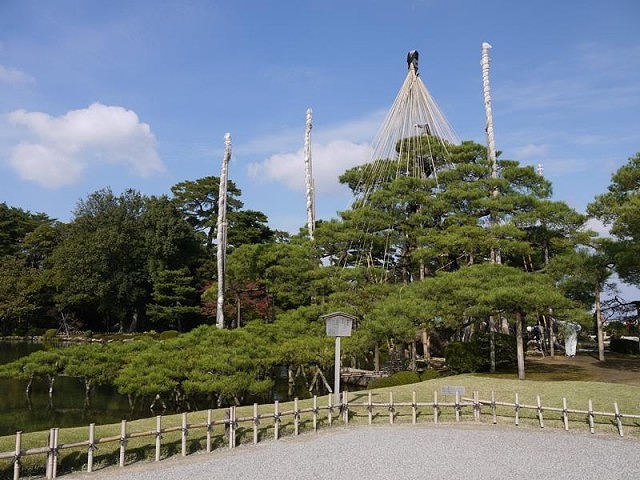 suzuki_2