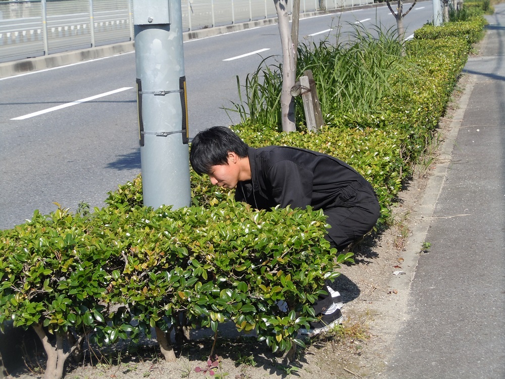 DSCN8927