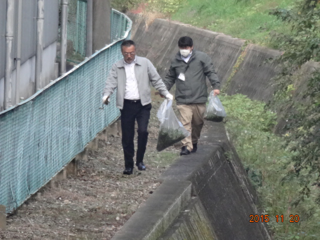 月一の敷地外ゴミ拾いと社内草取り