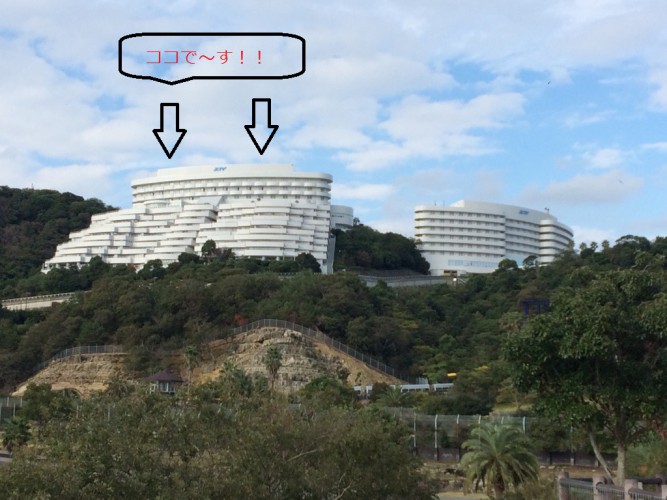 hattori1