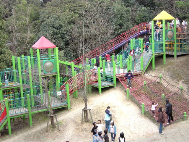 DSCN0646