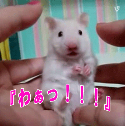 hamusuta
