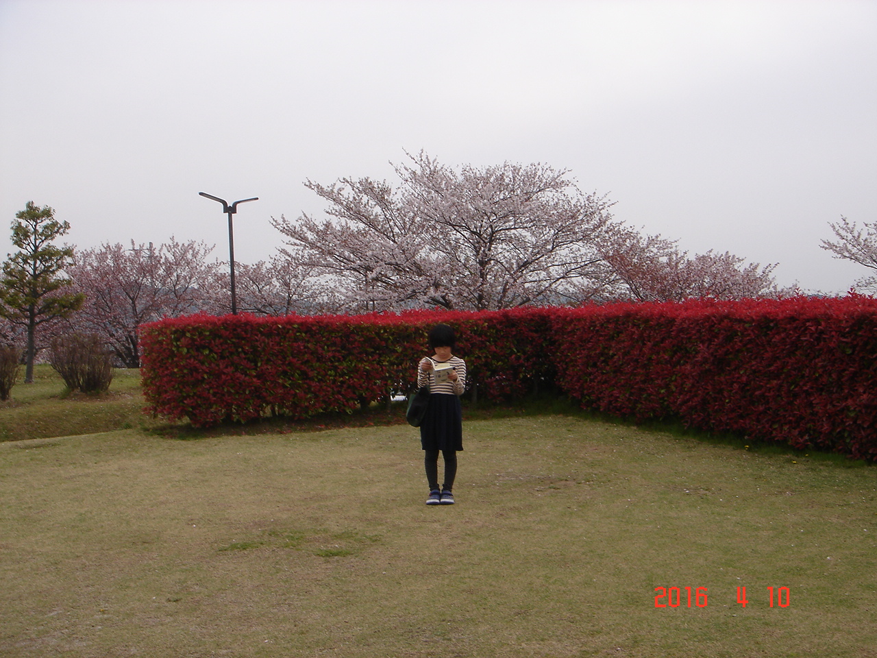 DSC01222