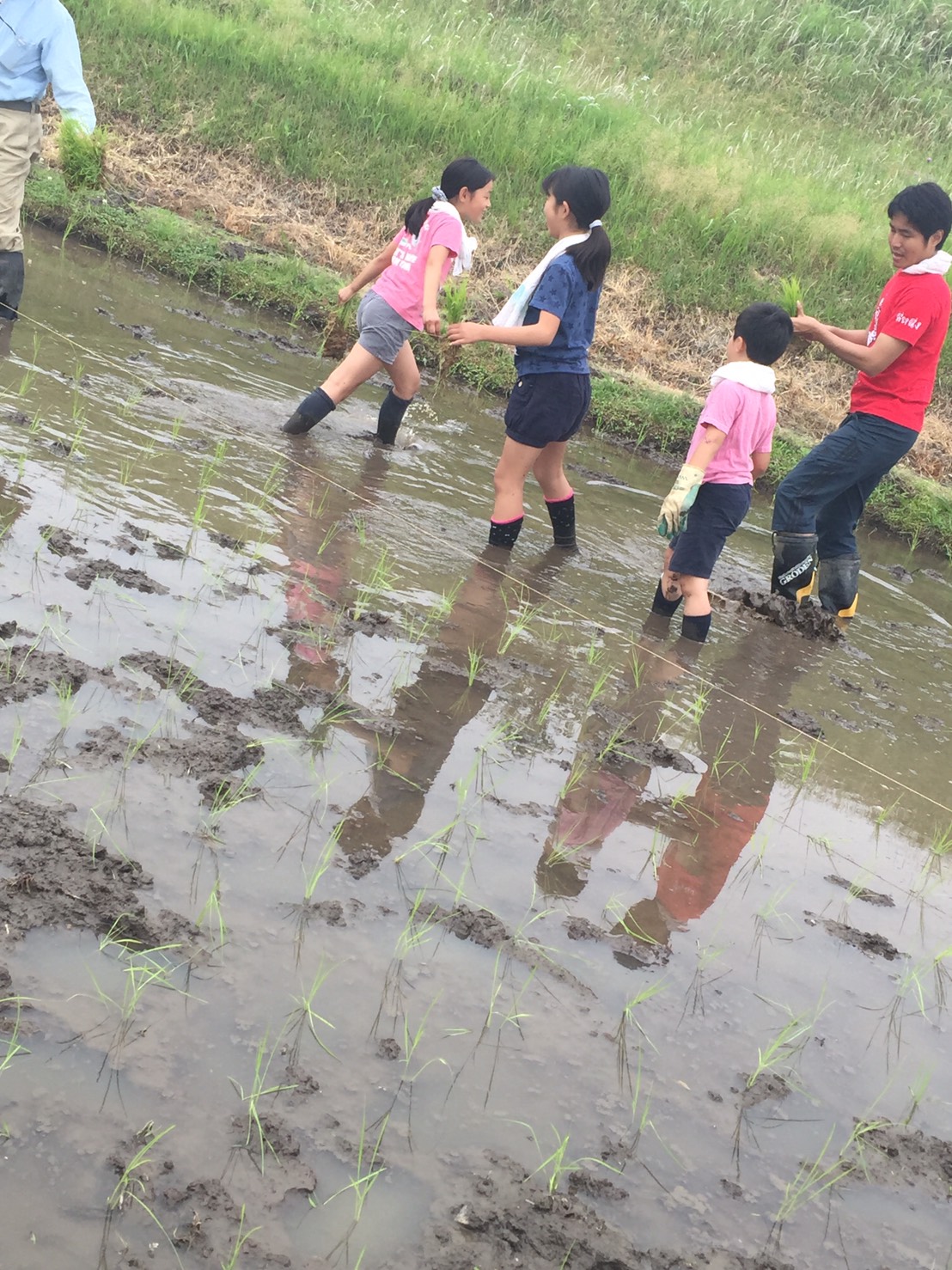 写真①