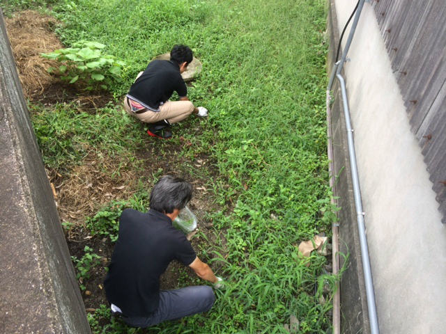 9月の敷地外清掃と草取り