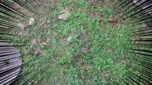 img1479437110346