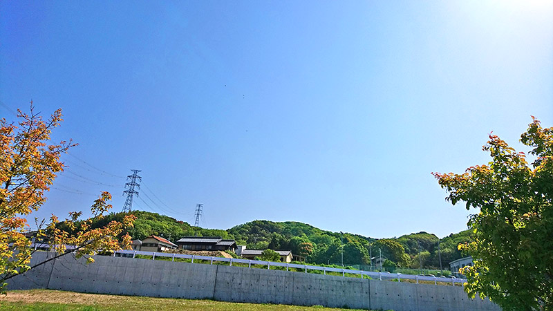 今月の敷地外清掃　～4月なのに初夏！？雲ひとつない快晴～