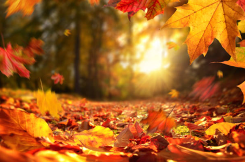 ジェイエスピー・タイムズ　VOL.58