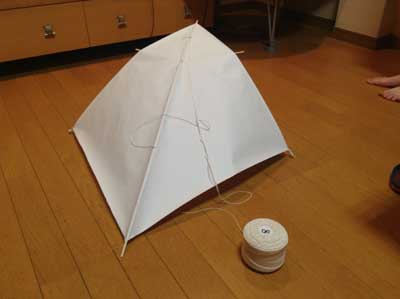 takoage3